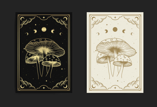 Magic mythical mushroom