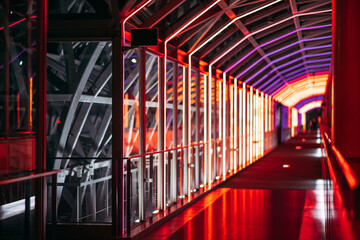 tunnel in the tunnel