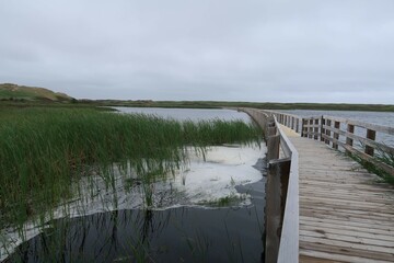 wooden bridge over the river