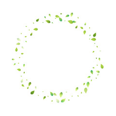 Leaves Green Falling Flying Foliage Leaf Tea Mint