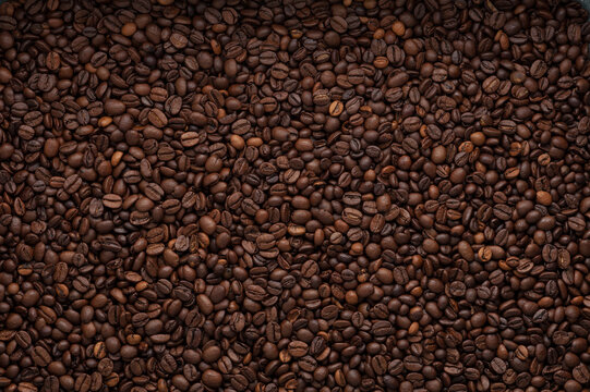 Gr&atilde;o de caf&eacute;