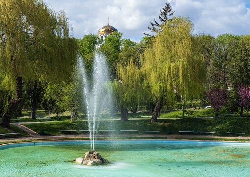 Kamianets-Podilskyi,  Khmelnytsky region, Ukraine. Beautiful spring city park with  blossoming sakura or cherry blossom tree near fountain.
