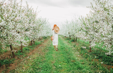 Lovely woman walks in live walking in the spring Park and enjoying the beautiful spring blossom nature.
