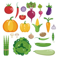 Vegetable set vector flat illustration. Healthy eating. Pumpkin, broccoli, zucchini, asparagus, eggplant and other vegetables on a white background.