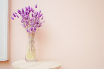 Violet Rabbit tail or Bunny tail flower in glass vase on wooden table with light pink wall in natural and vintage style with copy space