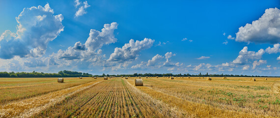 Panorama Hay, stacks bales with wheat, field after harvest with hay rolls Agriculture © bondarillia