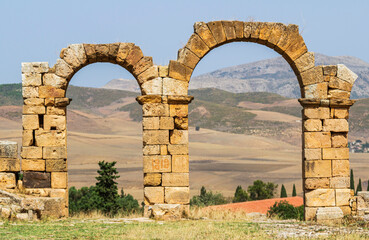 Arcs from the Roman ruins of Khemissa in SoukAhras province of Algeria.
