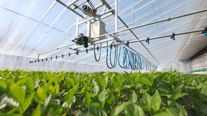 Application of intelligent seedling greenhouse in North China - Powered by Adobe