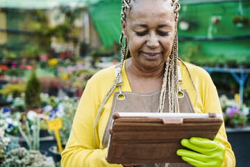 African woman working inside greenhouse garden using tablet computer - Nursery and spring concept -...