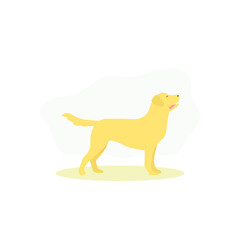 Standing Golden Retriever dog simple flat vector character illustration.