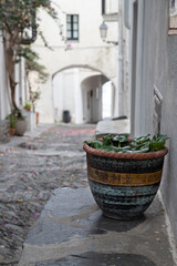 Fototapeta na wymiar Flowerpot in a Cadaques street