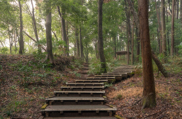 朝日に包まれて