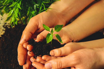 The child and his mother plant young green seedlings at home. Transplanting plants. Sowing seeds in spring. A new life.  Protection of nature. The concept of World Earth Day.