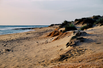 dunas santi petri
