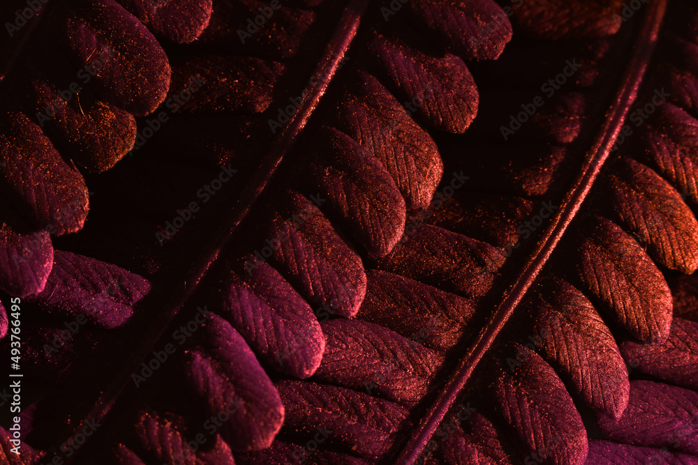 Poster close up abstract fern plant colorful light. beautiful plant minimal in neon light. background patte