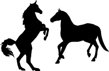 Horse animals Silhouette 