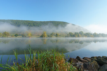 Der Main mit Frühnebel