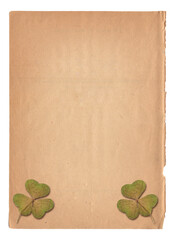 Vintage background with dry plant clover on old paper texture