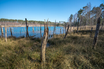 Fototapeta premium Blauteich