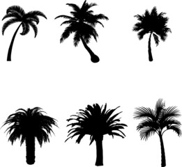 Set of Palm trees and plants silhouette