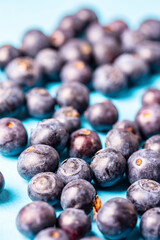 fresh spring blueberries close up