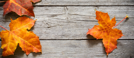 Naklejka na ściany i meble banner with autumn leaves on old wooden background