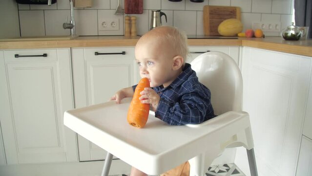 Cute baby eating carrot in a white kitchen. Healthy nutrition for kids. Bio carrot as first solid food for infant. Little boy biting raw vegetable.