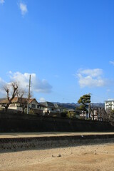 日本の街中を流れる川の風景　兵庫県芦屋市芦屋川の松並木