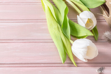 Bouquet of white tulips on pink wooden background.