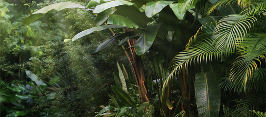 beautiful tropical vegetation garden with palm leaves, lush foliage in a green wild jungle, rain...