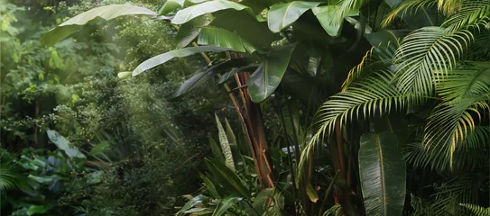 Fotobehang Tropisch beautiful tropical vegetation garden with palm leaves, lush foliage in a green wild jungle, rain forest backdrop concept for wallpaper, beauty in nature  © winyu