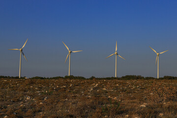 windmills waiting for the wind to return