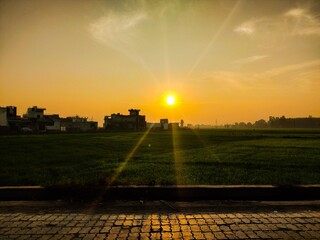 Beautiful sunset through the road and paddy field