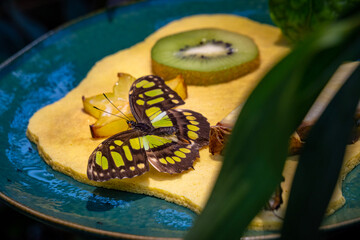 butterfly on fruits