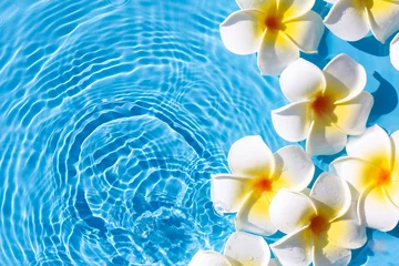 Keuken spatwand met foto Tropical frangipani flowers on a blue water background. Top view, flat lay © Alex