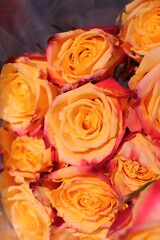 bouquet of orange roses