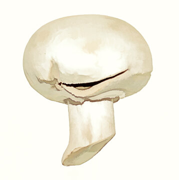 Pratende champignon