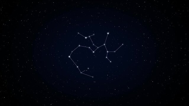 sagittarius. Zodiac constellation animation. 4k resolution. Seamless loop.