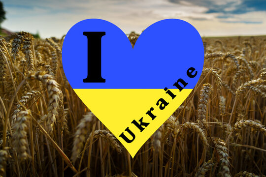 Ukraine War, Peace, Wheat Agriculture, United Nations, Flag, Peace Dove, Hearts.