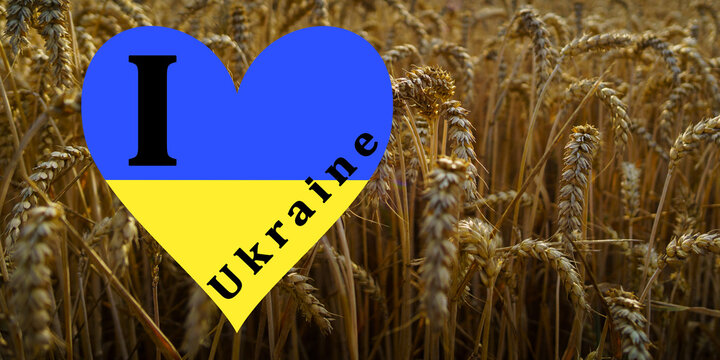 Ukraine War, Peace, Wheat Agriculture, United Nations, Flag, Peace Dove, Hearts.