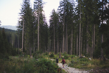 Fototapeta na wymiar people hiking in the woods in Slovenia