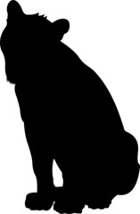 silhouette of a sitting tiger on a white background