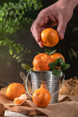Man takes a tangerine from little bucket
