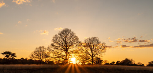 Zachodzące słońce w złotych odcieniach © Joanna