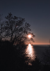 Albero e un tramonto sul mare 