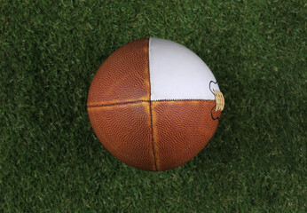 brown leather american football ball on the lawn