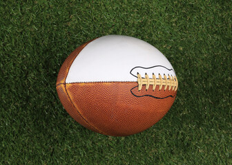 brown leather american football ball on the lawn