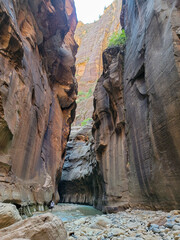 Narrow virgin river trail at Zion National Park Narrows Trail. Deep slot canyon. Wall street section.