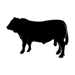 cow silhouette on white background.