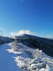 Fototapeta premium landscape in the mountains